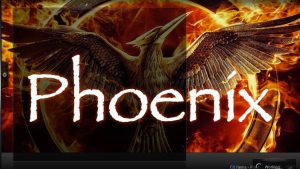 Read more about the article KODI PHOENIX AddOn, Live TV Channels, Movie Streams and More
